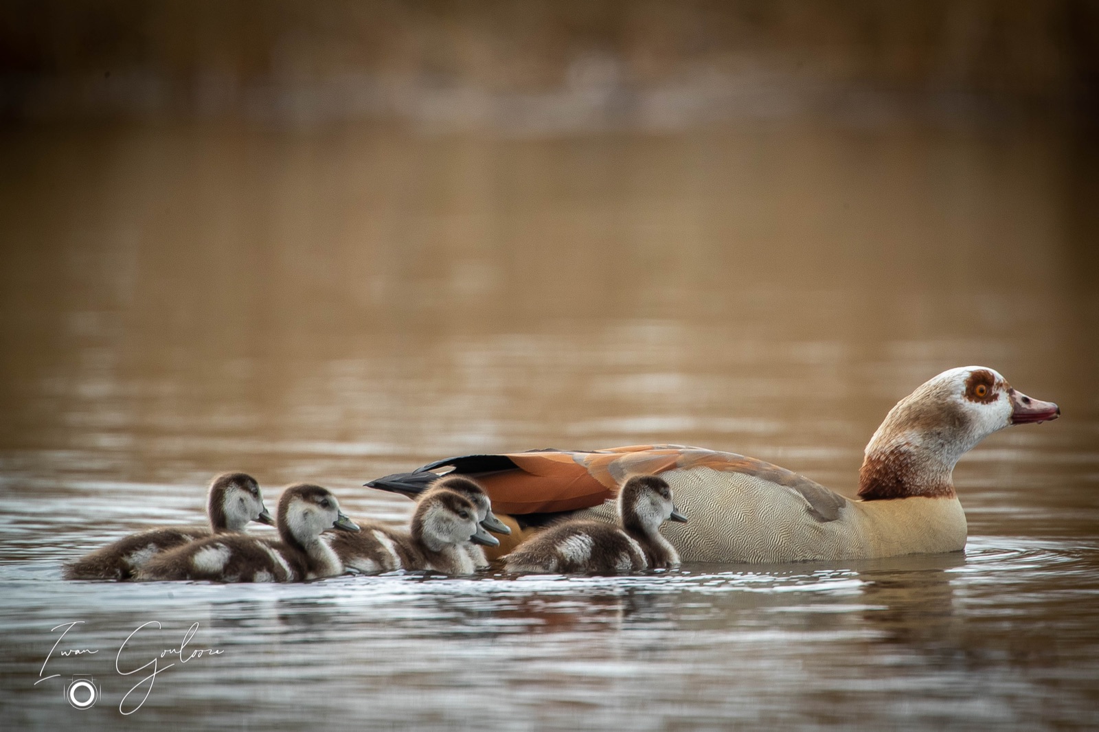 05 april 2022 154937 1DX47937